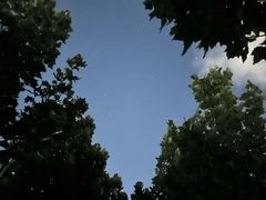 -半天妖烤鱼(方庄店)