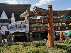 -泉州海丝野生动物世界