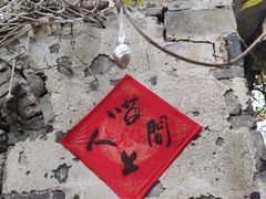 -喵屿·大理花园猫咖