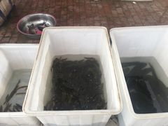 -夏家大锅台炖鱼馆