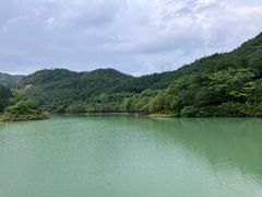 -广州白江湖森林公园