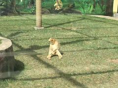 -西安秦岭野生动物园