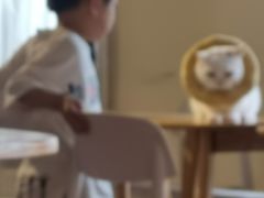 大堂-猫咖时代(中山亭店)