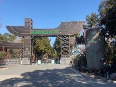 -溱湖国家湿地公园