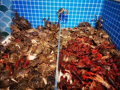 河蟹-乔哥铭洋海鲜自助(皇城恒隆广场店)
