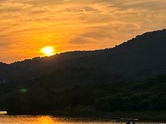 -佛手湖郊野公园
