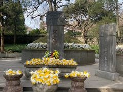 -岳王庙