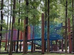 -黄海国家森林公园