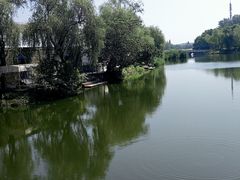 -溱湖国家湿地公园