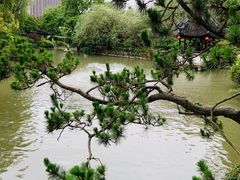 -上海醉白池公园
