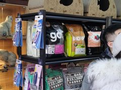 -喵百万·布偶·蓝金金渐层英短·猫舍(百子湾店)
