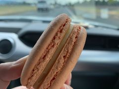 百香果马卡龙-Bouchon Bakery