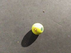 -快网网球俱乐部(徐汇爱建园店)