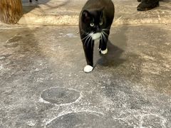 -下面馆