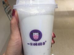 -一只酸奶牛(时代天街A馆店)