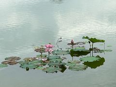 -建水文庙