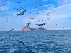 -海驴岛(荣成市)