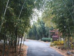 -苏州环秀晓筑养生度假村