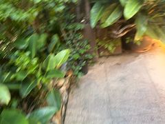 -肴约·花园式餐厅(湖里店)