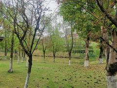 -沐仙湖湿地公园