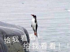 -韦记螺蛳粉(NO2店)