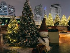 -城市露台景观餐厅(淮海路店)