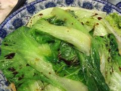 -海王老记