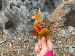 -鬼笑石后山停车场