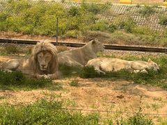 -秦皇岛野生动物园