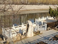 -桃花堤公园