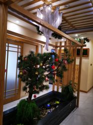 -芳朵美容养生SPA