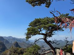 -大连天门山国家森林公园
