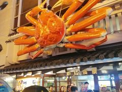 -蟹道乐(道顿堀本店)