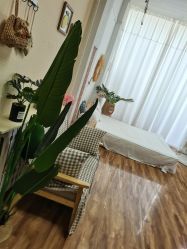 -邦叔叔儿童摄影(涿州店)