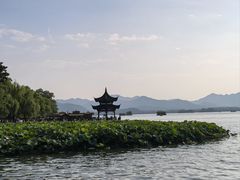 -柳浪闻莺公园
