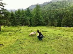 -硗碛藏寨·神木垒景区