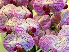 -钱王祠