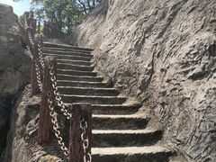 -金鸡山公园