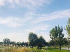 -安德鲁户外烧烤帐篷营地(马泉营店)