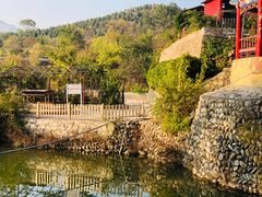 -双新垂钓园