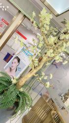 -芳朵美容养生SPA