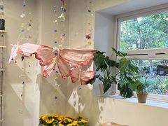 -花生FM_FLOWERS