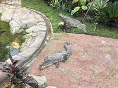 -上海野生动物园