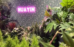 -花隐·美芙炫海菲秀皮肤管理中心