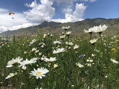 -新疆那拉提国家旅游度假区