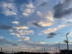 -阿尔法海鲜排档(爱琴海店)