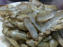 -烁佳海鲜大馅饺子
