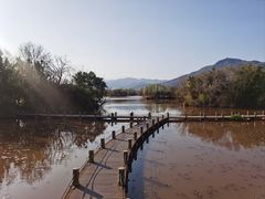 -西昌邛海湿地