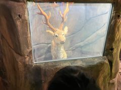 -佛山科学馆