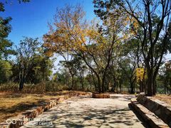 -盘龙城国家考古遗址公园